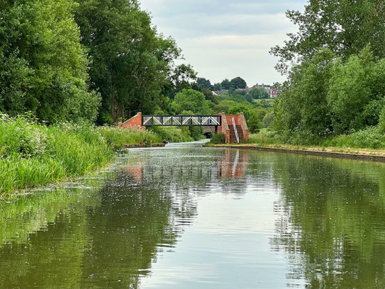 A wide canal surrounded by green large trees with the colours reflected in the water. A black and white bridge with brick steps crosses the canal leading to the towpath running alongside the water.