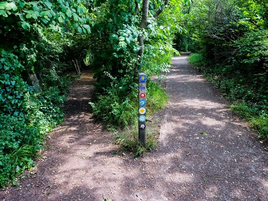 Decisions, decisions!

A path through a deciduous wood forks into two routes. A multicoloured way-marker shows a multitude of routes, some pointing to the left, some to the right. (I took the Wales Coast Path, to the right)