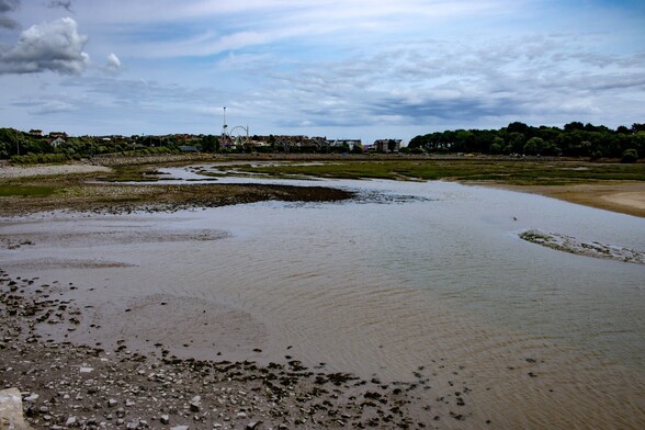 Looking across Barry Harbour to Barry Island.

Shallow water partially fills the harbour, Marshland gives way to sand as you look from left to right. Opposite and behind a sea wall, the houses and flats of Barry and Barry Island can be seen, and in amongst them, the rides of an amusement park