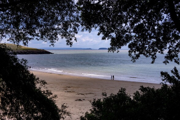 Whitmore Bay, Barry Island:

Peeking through a diamond shaped gap in the trees onto the golden sands of a beach. Two small groups of people are paddling in the shallows. In the distance, the silhouette of "steepholm" Island can be seen, standing off the dark line of the Somerset coast
