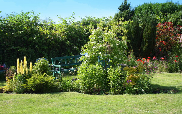 A wooden bench in a heavily planted garden filled with trees, shrubs and flowering plants. Flowerbed in front of bench includes a bright yellow Lupin, Aquilegia, Phlox and a small flowering Dogwood tree.  The bench invites one to sit with a cuppa and enjoy the surrounding nature.  Newly mown lawn in foreground and clear blue sky above.
