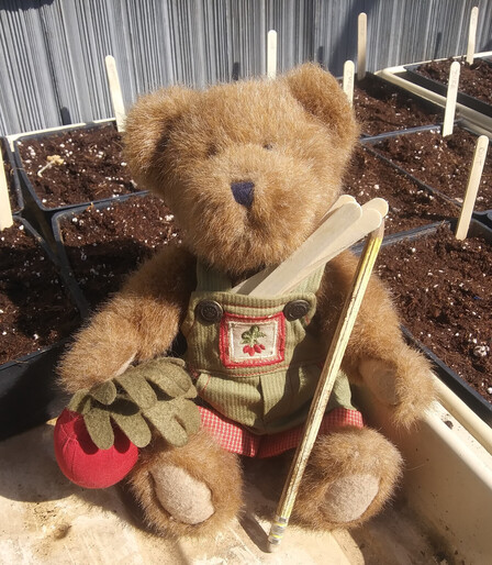 A light brown teddy bear in green overalls sits looking directly at the camera. He is holding a beet in his right paw.  There is a bunch of beets embroidered on the bib of his overalls.  He is holding a pencil and a bunch of wooden plant markers.