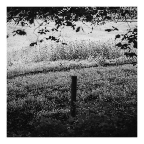 A black and white photograph. In the foreground a post and wire fence with overhanging branches framing a field. 