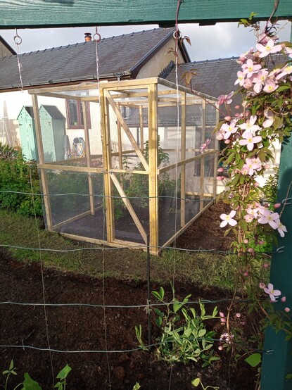 A garden shot: a fruit cage built from wood and metal netting approximately 10 x 5 ft and 6ft high.  In foreground there's a trellis with Clematis and Sweetpeas climbing up the wire grid. In background a cottage in three sections, staggered in height.
