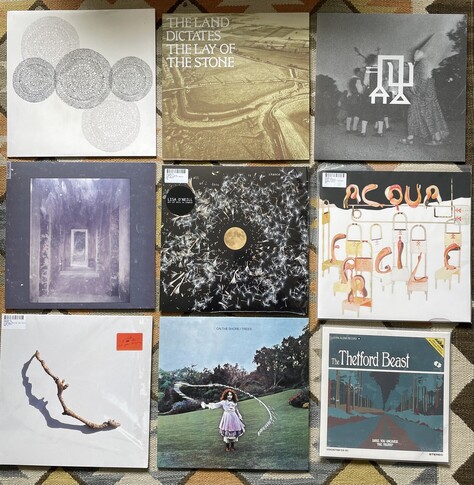 9 vinyl LPs and EPs laid out in a square:

Memotone - RBR001 
O.G. Jigg - The Land Dictates The Lay Of The Stone
Memotone - Chime Hours
Memotone - Invisible Cities
Lisa O’Neill - All Of This Is Chance
Acqua Fragile - Acqua Fragile
PJ Harvey - I Inside The Old Dying
Trees - On The Shore
Concretism - The Thetford Beast
