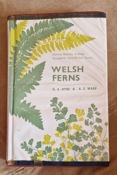 Front cover of "Welsh Ferns" by H. A. Hyde and A. E. Published by National Museum of Wales. Amgueddfa Genedlaethol Cymru. Sage green and yellow/green fern patterns on a cream coloured.