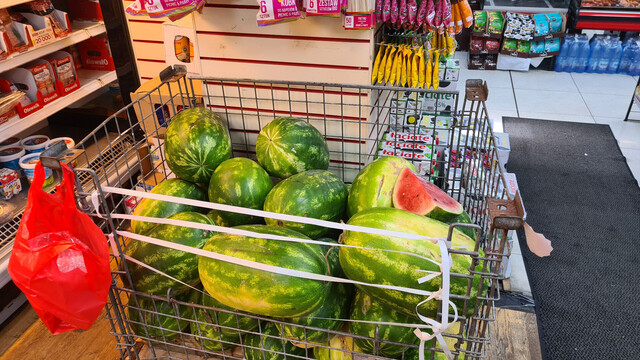 watermelons twice the size of my head, in a basket in a shop.