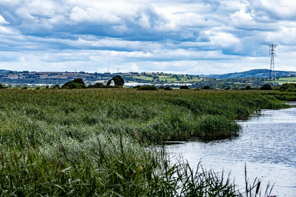A view over the Newport Wetlands Nature Reserve:

A man made "scrape" of calm water runs diagonally to the right. An expanse of lush reedbeds stretches out to the left of it. The top of the white circular "East Usk Lighthouse" can be seen in the middle distance, with farmland covered hills further off. Thick grey cloud populates the sky