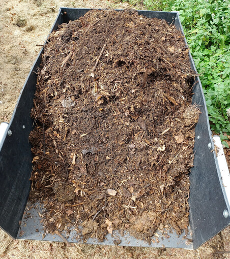 A large black garden cart full of mature compost made mostly from shredded corn stalks from last year's crop.