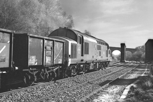 Class 37 diesel (no. 37217) pictured on 16/4/81 heading for Aber Junction Yard