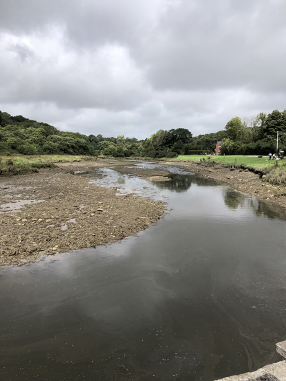 Tide coming in at the stepping stones in Cresswell Quay 
