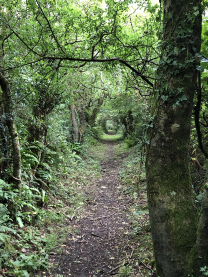 The Landsker trail and ancient byway cutting Pembrokeshire in half