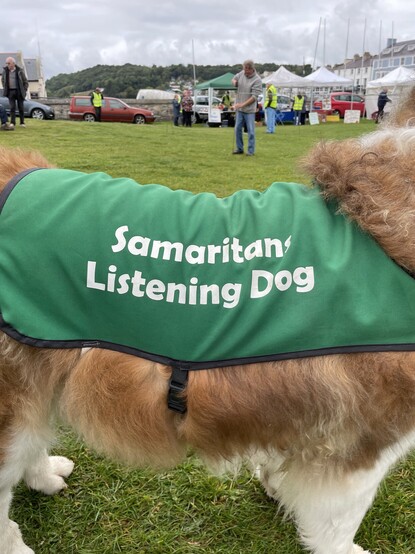 She is a listening dog for the Samaritans.