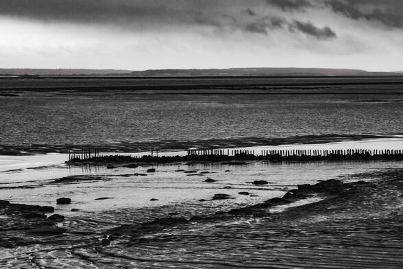 A "Putcher Rank":

A black and white photo. Looking over the mouth of the River Severn towards the Somerset coast. The tide is out revealing wide expanses of mud flats. Close to the camera a parallel line of wooden stakes emerges from the foreshore (A "Pitcher Rank" on which baskets would have been suspended to catch fish as the tide moved out)