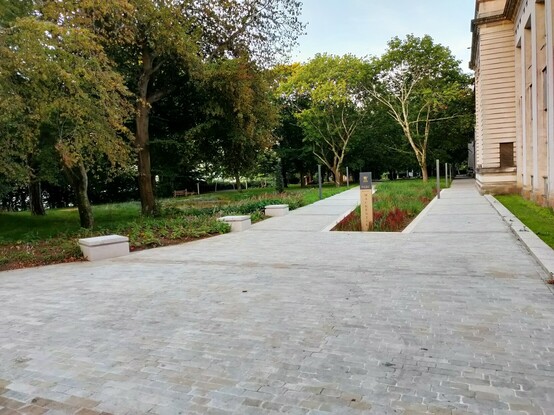Pathway through a new park 