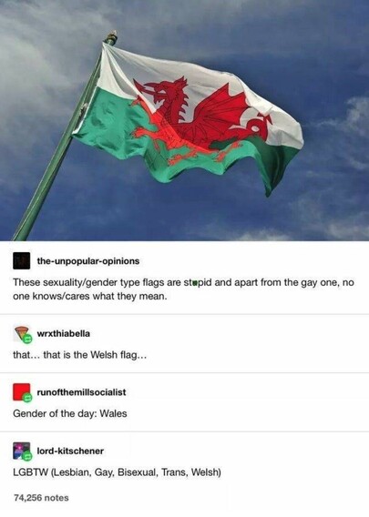 A tumblr thread starting with a photo of the Welsh flag with the comment "Those sexuality/gender type flags are stupid and apart from the gay one, no one knows/cares what they mean."
The first reply says "that... that is the Welsh flag...", followed by the reply "Gender of the day: Wales", followed by the reply "LBGTW (Lesbian, Gay, Bisexual, Trans, Welsh)"