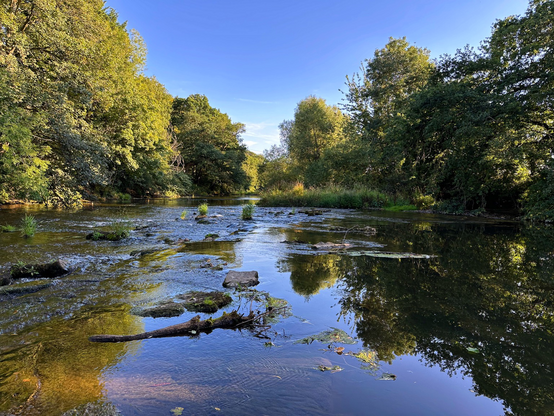 A wide, shallow river with several small rocks sticking out of the water. Large mature trees and large shrubs surround the banks of the river with blue skies and no clouds. Photo taken from the middle of the river looking downstream away from Ludlow. 