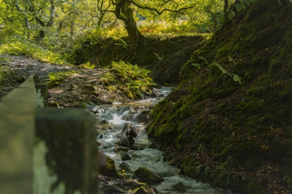 Fast flowing stream:

A fast flowing stream tumbles over a series od small waterfalls. A steep sided, moss covered bank lines the right hand side, while the left hand bank is lower, flatter and covered in small stones and ferns.  The wooden hand rail of a footbridge leads the eye away from the camera. 