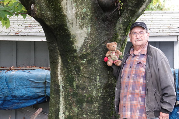A scruffy gardener in a black NYBG hat and old black coat is holding a teddy (BeetBear) next to the trunk of an American Beech tree.