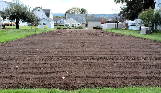 looking downhill at a freshly tilled 4000 ft² (372 meter²) garden plot.  Grey houses in background.  Lone sunflower stalk in middle distance.  Large apple tree to the left.