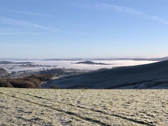 Wonderful inversion created. 