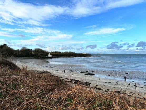 Views over a mixed sand and rocky beach out to sea from the headland. Large mature trees surround a quiet cove and the beach on the edge of a woodland area with an old white derelict building in the far side. Two people are walking on the beach with bright blue skies above with a few white clouds.