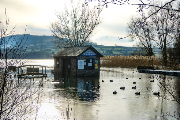 Llangorse Boat Hire:

A small stone hut with a sign reading "Lakeside Boat Hire" is surrounded by flood water. A small arched footbridge emerges from the water to it's left. Ducks swim around the building