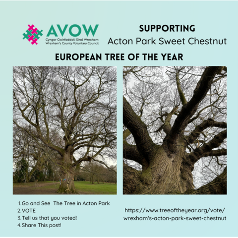 Pictures of the Acton Park Sweet Chestnut, and the text of the post in English. 