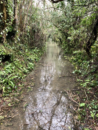A flooded, impassable by way near Llysworney. 