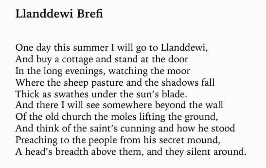 Text of poem -
Llanddewi Brefi.
One day this summer I will go to Llanddewi, And buy a cottage and stand at the door In the long evenings, watching the moor Where the sheep pasture and the shadows fall Thick as swathes under the sun's blade. And there I will see somewhere beyond the wall Of the old church the moles lifting the ground, And think of the saint's cunning and how he stood Preaching to the people from his secret mound, A head's breadth above them, and they silent around.