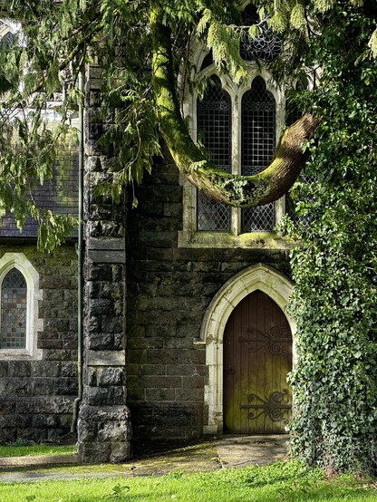A Victorian gothic chapel entrance with an ivy covered tree, everything tinted with green because it’s all covered in moss and algae