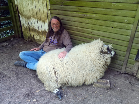 Me sitting by the stable next to an inordinately fluffy sheep - it's Panda! He's sitting next to me quietly and I am resting my arm on his back. He is so fluffy he looks like he might float away on a gust of wind (he wouldn't. He's a heavy chap).