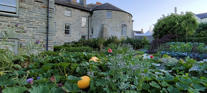 The kitchen garden at Cardigan Castle, in the late evening not long before sunset. In the rear of the scene there is a large stone building, with many windows and a rounded section at one side. Most of the picture though is an abundance of greenery and plants of all kinds - there's at least two large orange pumpkins nestled down in, some cardoons to the left, bright red poppies in the middle, rows of cabbages to the right. 