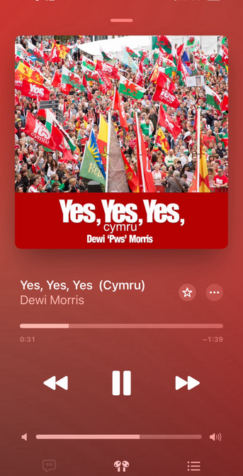 iphone screenshot of song