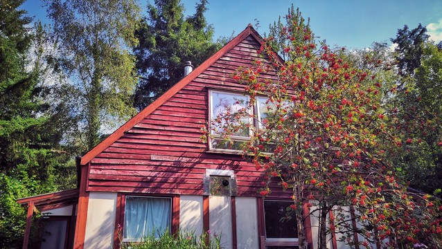 A continental European style small house with red wooden slats lining the gable. Before it an ash covered in ripe berries.