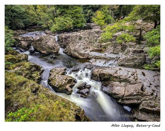 Photo of a stream flowing in a rocky channel, surrounded by bushes and trees. The flowing water is blurred by movement.