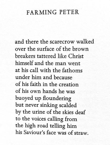 Text of poem -
FARMING PETER.
and there the scarecrow walked over the surface of the brown breakers tattered like Christ himself and the man went at his call with the fathoms under him and because of his faith in the creation of his own hands he was buoyed up floundering but never sinking scalded by the urine of the skies deaf to the voices calling from the high road telling him his Saviour's face was of straw.