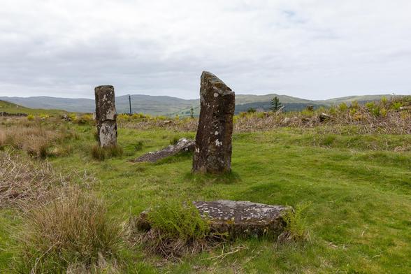 Photograph of the Kilmore Standing Stones near the village of Dervaig on the Isle of Mull, showing 2 upright stones and 3 lying down in scrubby ex foresty land, grey skies