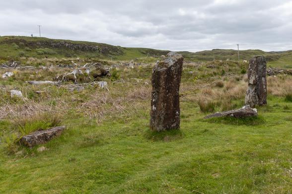 Photograph of the Kilmore Standing Stones near the village of Dervaig on the Isle of Mull, showing 2 upright stones and 3 lying down in scrubby ex foresty land, grey skies