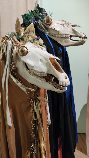 Two Mari Lwyd figures, which are decorated horse skulls over fabric cloaks, one of which appears to be grinning or leering at the camera. The Mari Lwyd is a winter tradition mainly from the south-east of Wales, but these days is found in many part of Wales around Christmas and New Year. 
