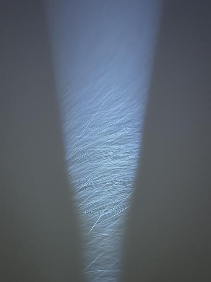 The particles in this one look like they’re moving fast