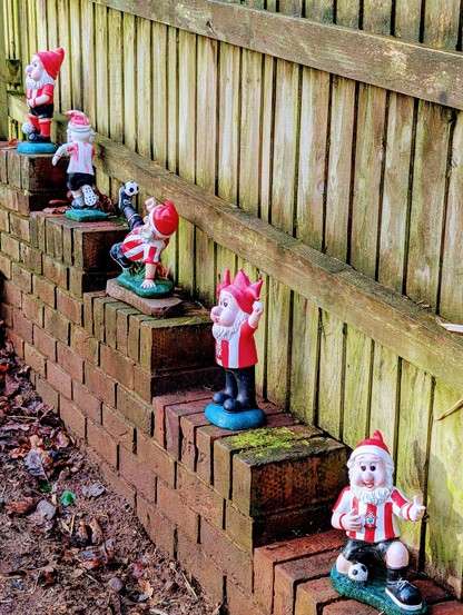 A row of gnomes in Saints strip