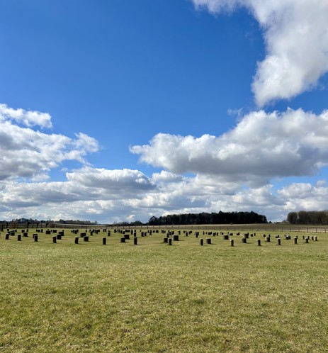 View of wood henge with a blue sky background. 