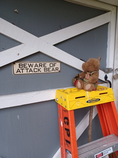 A ten inch tall (25cm), light brown teddy bear in green overalls sits on top of an orange and yellow fiberglass stepladder. His name is BeetBear. He is holding a beet in his right paw.  There is a bunch of beets embroidered on the bib of his overalls.  He is looking at a sign on the door of a grey and white garden shed.  The sign says "Beware of Attack Bear".
