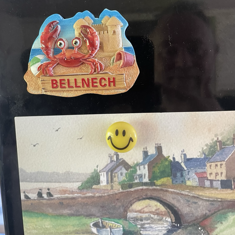 Fridge magnet 