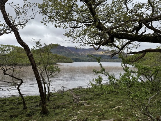 View across a lake towards mountains.  It is a grey dull day but the scene is peaceful.