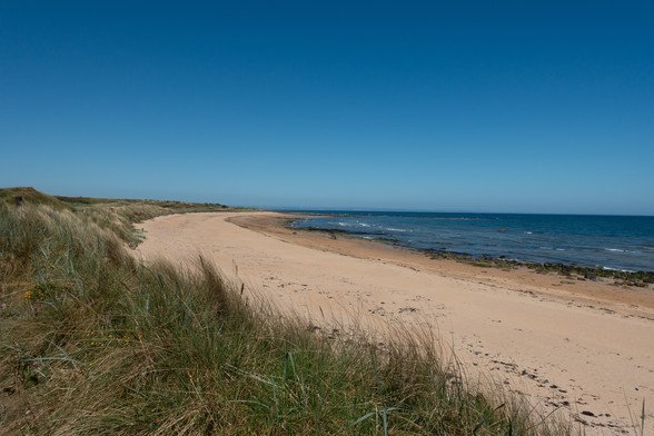 Colour photograph of a pale coloured sandy beach curving round away from the viewer. To the left of the scene are sand dunes covered in marram grass, to the right is the sea. Blue sky overhead.