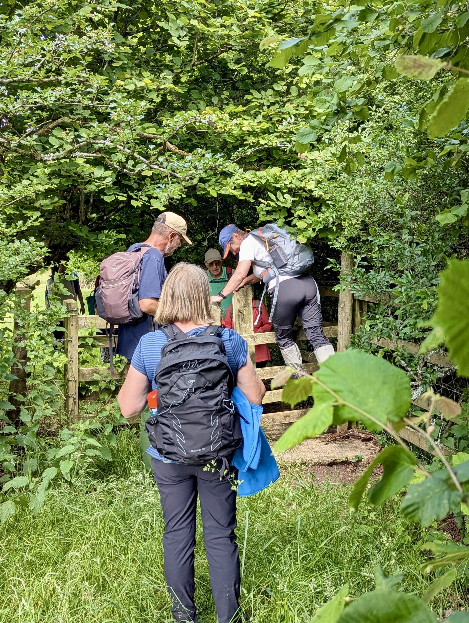 Struggling to get over the stile with the walkers due to barbed wire and a very wobbly stile.