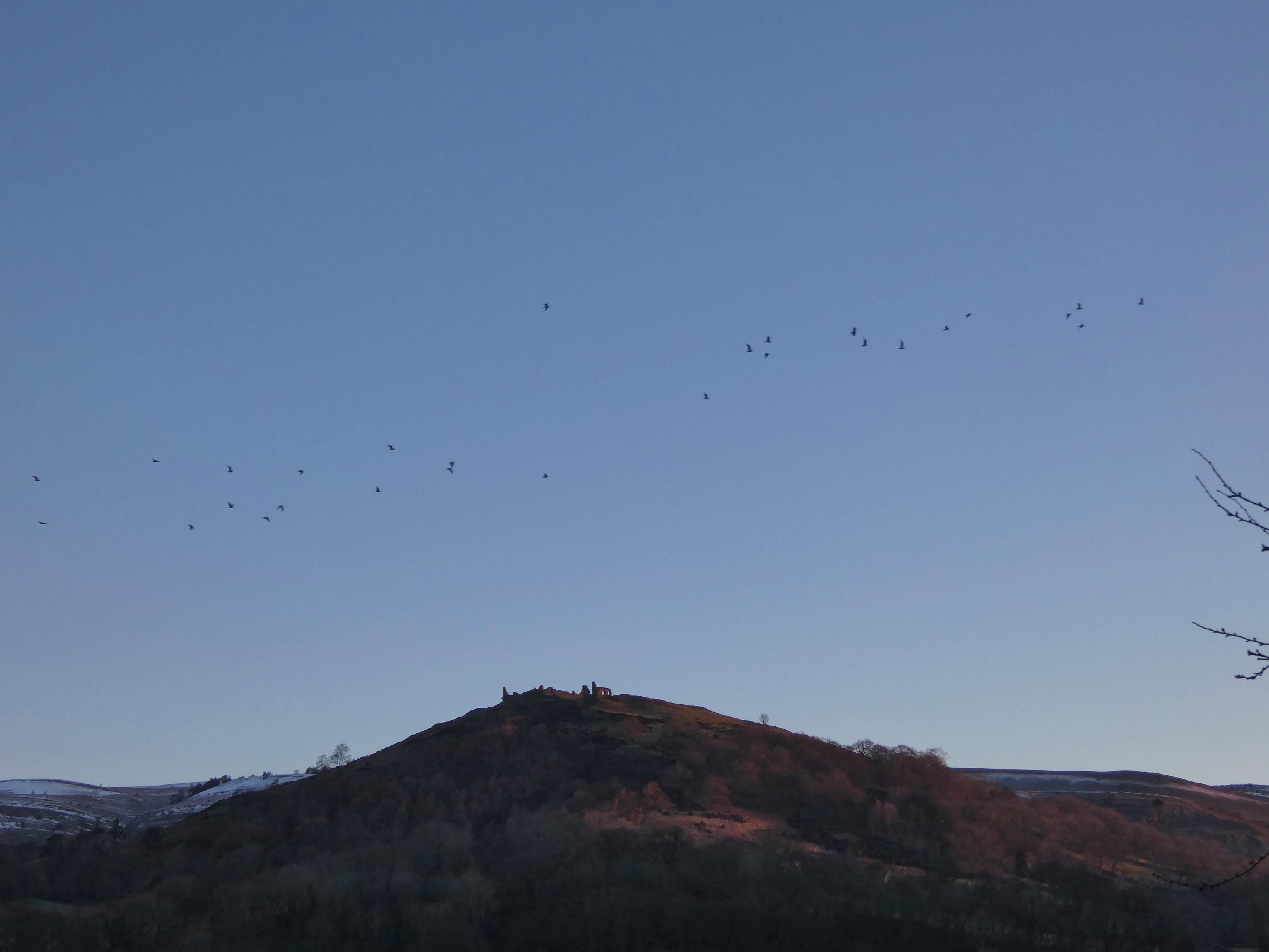 High castle mound silhouetted against blue skies that are being crossed by a flock of intentful seagulls with somewhere to go