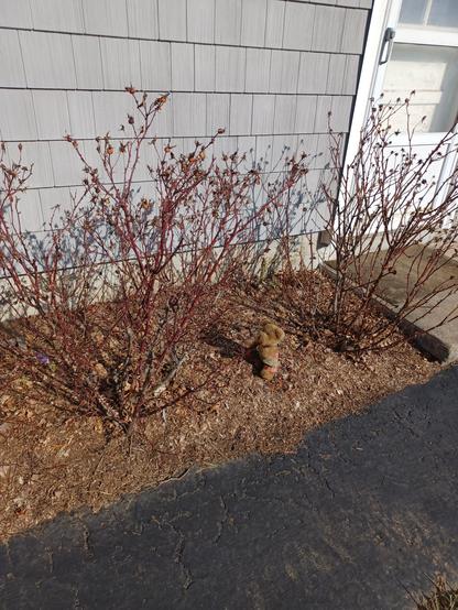 Posted media